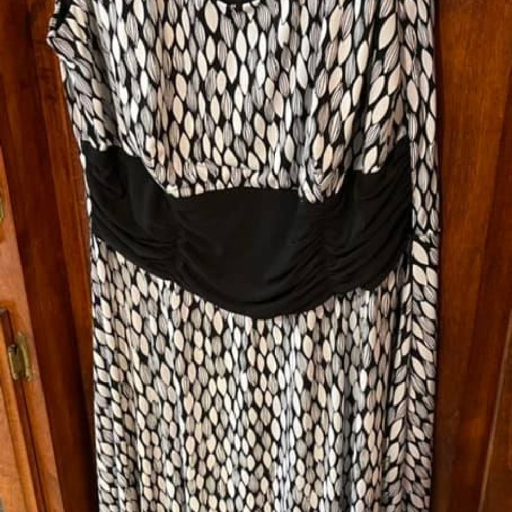 16W.  PERCEPTIONS WOMAN..  like new..  black and white DRESS